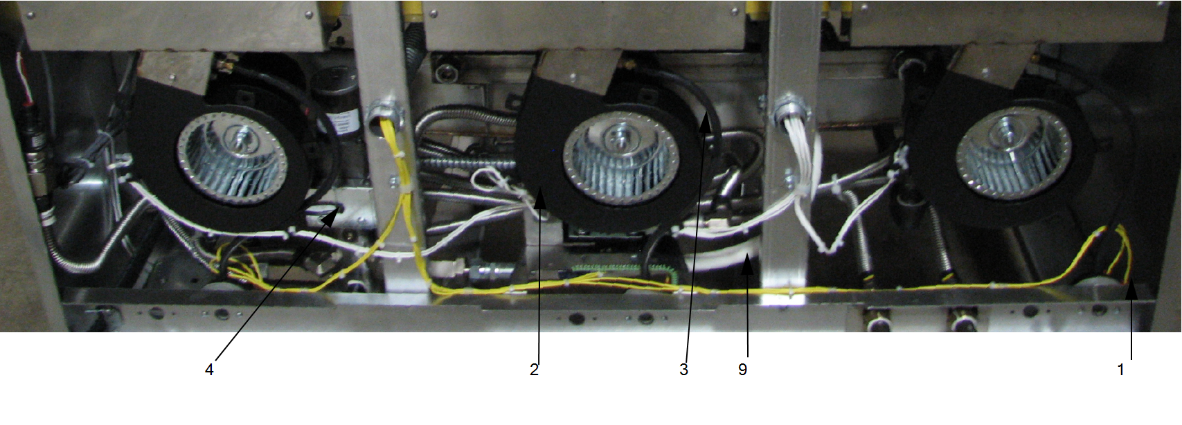 Blower Motor Assembly